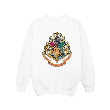 Harry Potter Boys Hogwarts Crest Gold Ink Sweatshirt (White)
