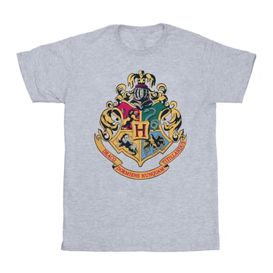 Harry Potter Boys Hogwarts Crest Gold Ink T-Shirt (Sports Grey)