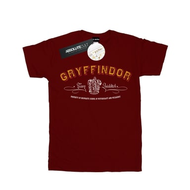 Harry Potter Boys Gryffindor Team Quidditch T-Shirt (Burgundy)
