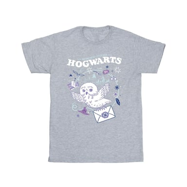 Harry Potter Boys Owl Letter From Hogwarts T-Shirt (Sports Grey)