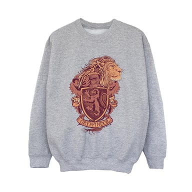 Harry Potter Boys Gryffindor Sketch Crest Sweatshirt (Sports Grey)