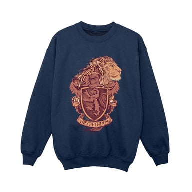 Harry Potter Boys Gryffindor Sketch Crest Sweatshirt (Navy Blue)