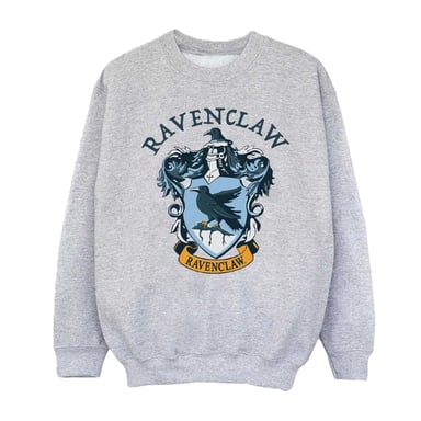 Harry Potter Boys Ravenclaw Sweatshirt (Sports Grey)