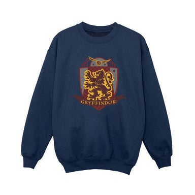 Harry Potter Boys Gryffindor Chest Badge Sweatshirt (Navy Blue)