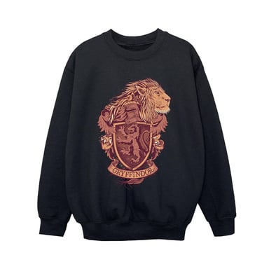 Harry Potter Boys Gryffindor Sketch Crest Sweatshirt (Black)