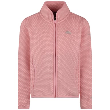 Trespass Childrens/Kids Ellbar AT300 Fleece Jacket (Baby Pink)
