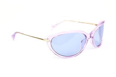 Ana Hickmann Sunglasses HI9250 T01 70