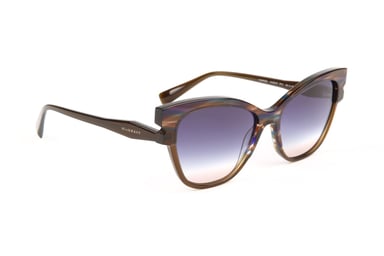 Ana Hickmann Sunglasses HI9227 P01 55