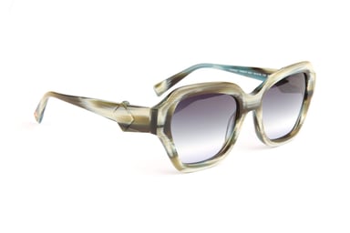 Ana Hickmann Sunglasses HI9214 E01 54