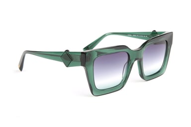 Ana Hickmann Sunglasses HI9213 T01 51