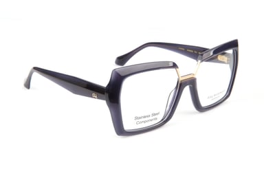 Ana Hickmann Optical Frame AH6593 T01 55