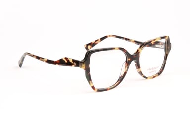 Ana Hickmann Optical Frame HI6305 G21 51