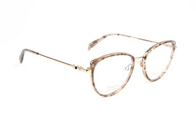 Ana Hickmann Optical Frame AH1480T G21 52 Titanium