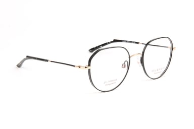 Ana Hickmann Optical Frame HI1247T 09A 50 Titanium