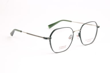 Ana Hickmann Optical Frame HI1218T 12A 51 Titanium