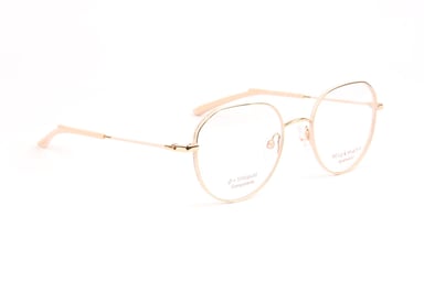 Ana Hickmann Optical Frame HI1247T 05A 50 Titanium