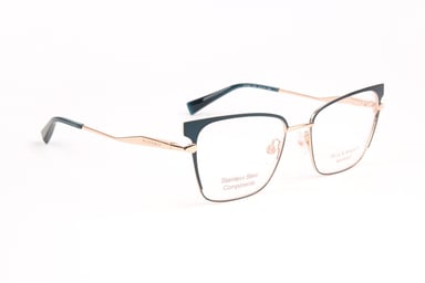 Ana Hickmann Optical Frame HI1252 12A 54
