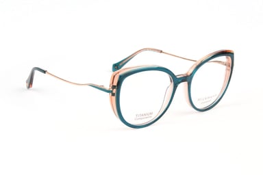Ana Hickmann Optical Frame HI6334T H01 51 Titanium