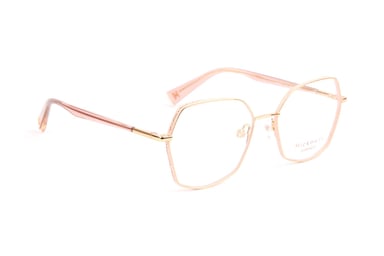 Ana Hickmann Optical Frame HI1229 05A 52