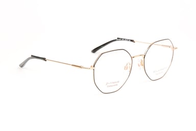 Ana Hickmann Optical Frame HIY1031T 09A 49 Titanium