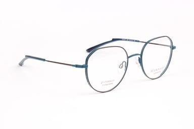 Ana Hickmann Optical Frame HI1247T 06A 50 Titanium