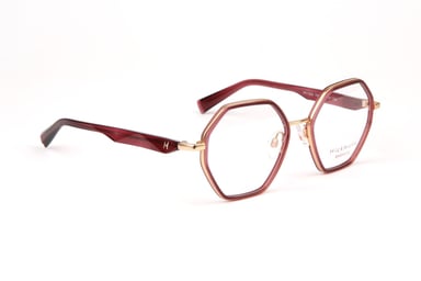 Ana Hickmann Optical Frame HIY1025 T02 50 Titanium