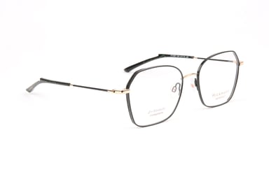 Ana Hickmann Optical Frame HI1246T 09A 54 Titanium