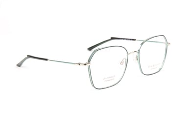 Ana Hickmann Optical Frame HI1246T 06A 54 Titanium