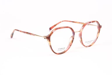 Ana Hickmann Optical Frame AH1554T G22 52 Titanium