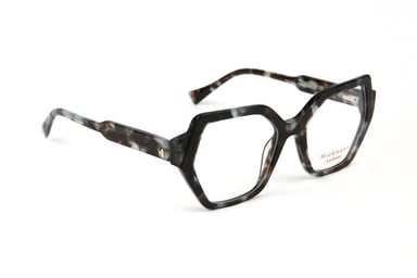Ana Hickmann Optical Frame HI6289 G21 52