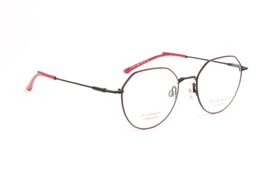 Ana Hickmann Optical Frame HI1243T 09B 50 Titanium
