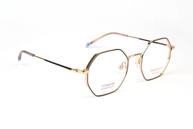 Ana Hickmann Optical Frame HIY1019T 09A 49 Titanium