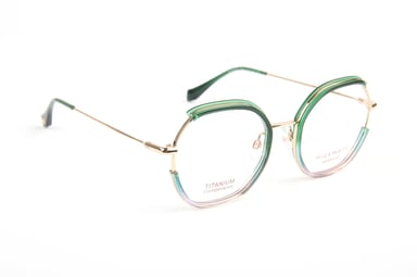 Ana Hickmann Optical Frame HI1279T C02 50 Titanium