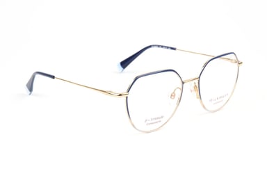 Ana Hickmann Optical Frame HI1262GT 12A 49 Titanium