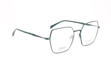 Ana Hickmann Optical Frame AH1548T 12A 54 Titanium