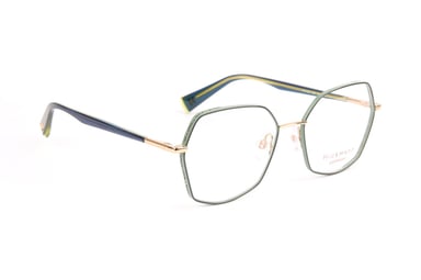 Ana Hickmann Optical Frame HI1229 12A 52