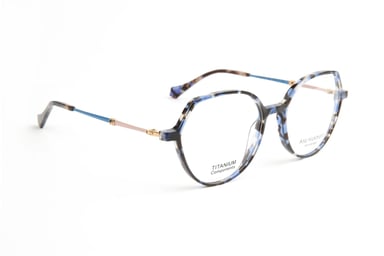 Ana Hickmann Optical Frame AH6469T G21 54