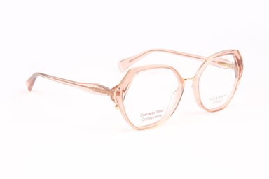 Ana Hickmann Optical Frame HI1248 T01 53 Titanium