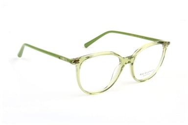 Ana Hickmann Optical Frame AH6617 T01 51