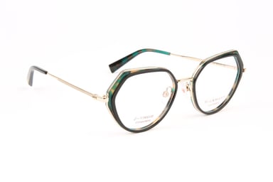 Ana Hickmann Optical Frame HI1250T H01 53 Titanium