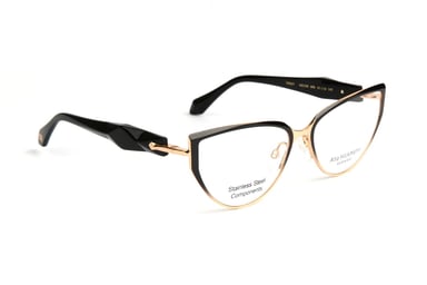 Ana Hickmann Optical Frame AH1539 09B 55