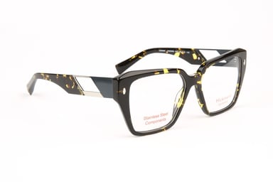 Ana Hickmann Optical Frame HI6309G G21 53