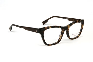Ana Hickmann Optical Frame HI6266 G21 51