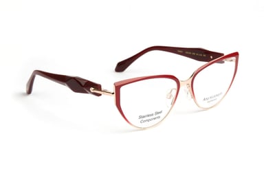 Ana Hickmann Optical Frame AH1539 07B 55