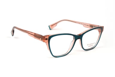Ana Hickmann Optical Frame HIY6017 H02 50