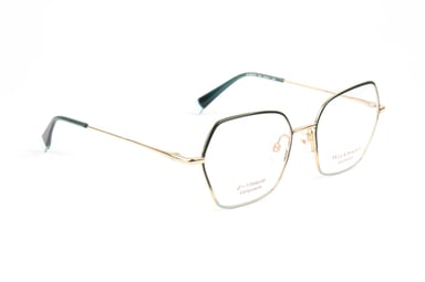Ana Hickmann Optical Frame HI1261GT 12A 52 Titanium