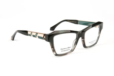 Ana Hickmann Optical Frame AH6580 E01 53