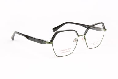 Ana Hickmann Optical Frame HI1245 A01 55