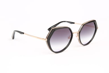 Ana Hickmann Sunglasses HI3199 A01 54