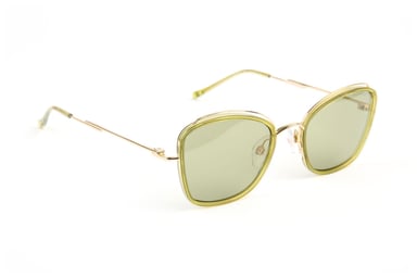 Ana Hickmann Sunglasses HI3219 T01 52